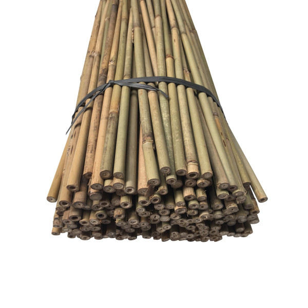  Tuteur  Bambou  D12 14 1m50 lot de 250  